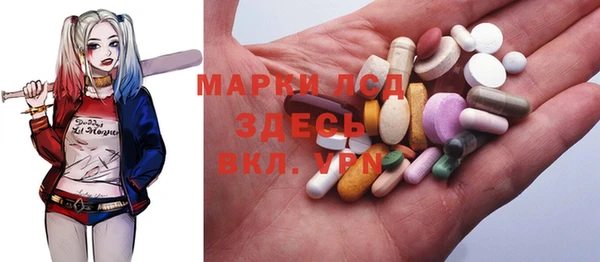 сатива Магас