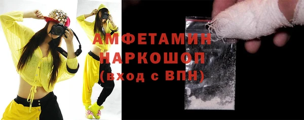 сатива Магас