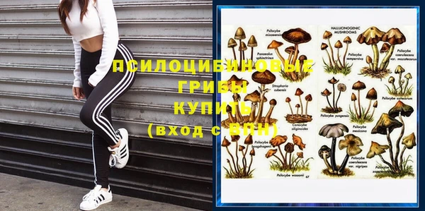 эйфоретик Медвежьегорск