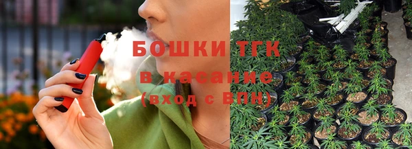 сатива Магас