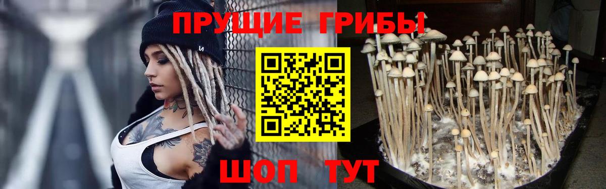 где можно купить   Галлюциногенные грибы MAGIC MUSHROOMS  Вход с VPN  Якутск 